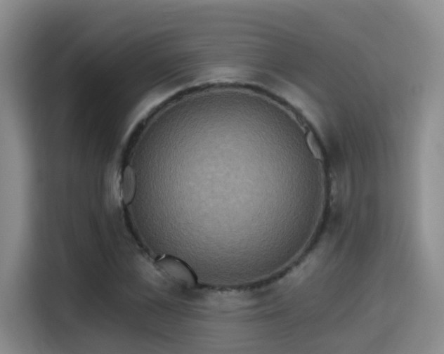 X0000115330973200911091242