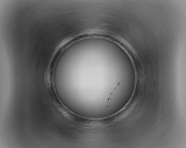 X0000115330974200911091242