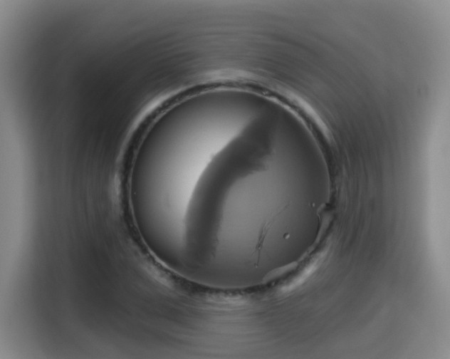 X0000115330975200911091242