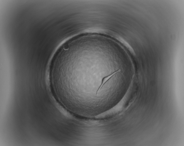 X0000115330976200911091242