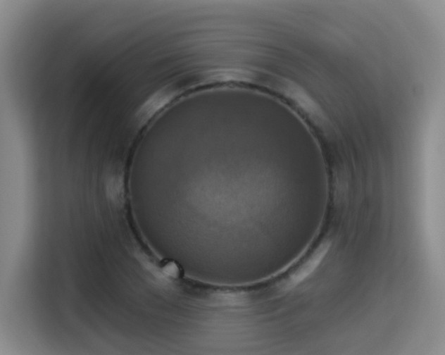 X0000115330977200911091241