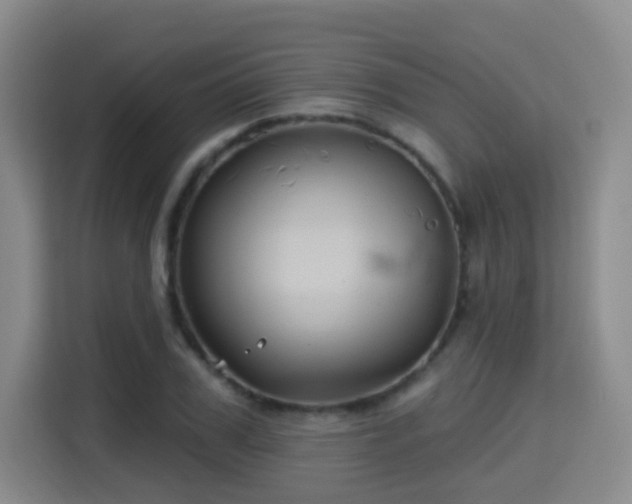 X0000115330979200911091241