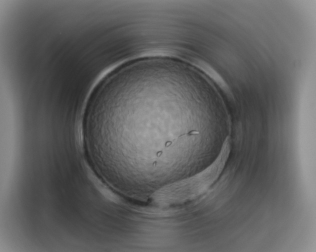 X0000115330980200911091241
