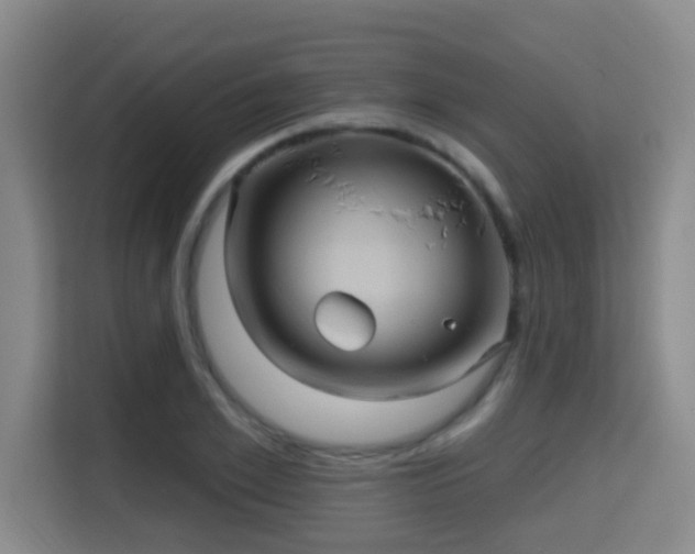 X0000115330981200911091241