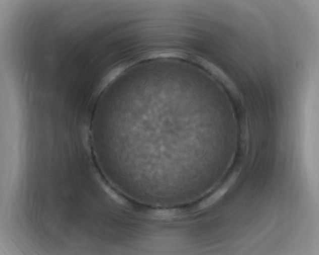 X0000115330985200911091241