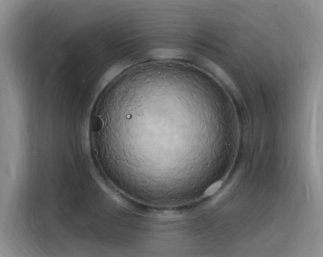 X0000115330986200911091241