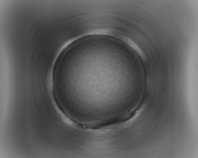 X0000115330988200911091241
