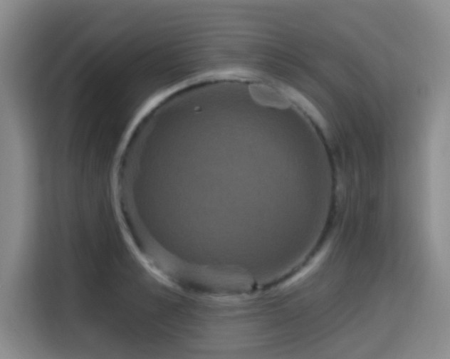 X0000115330989200911091241