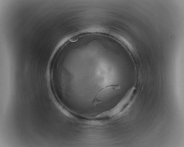 X0000115330990200911091241