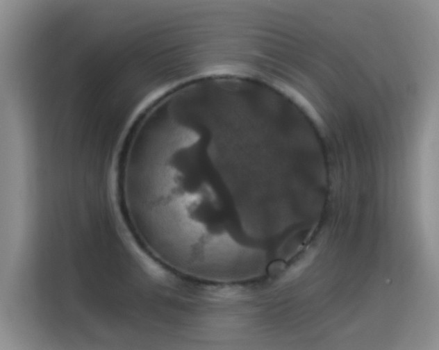 X0000115330991200911091241