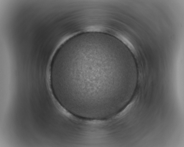 X0000115330992200911091241