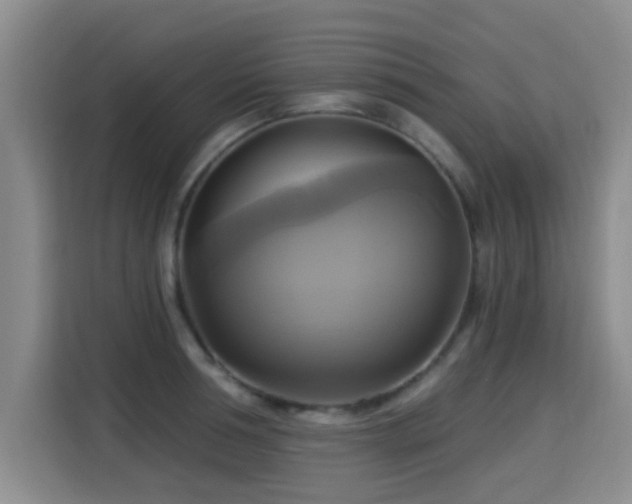 X0000115330994200911091241