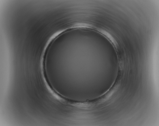X0000115330995200911091241