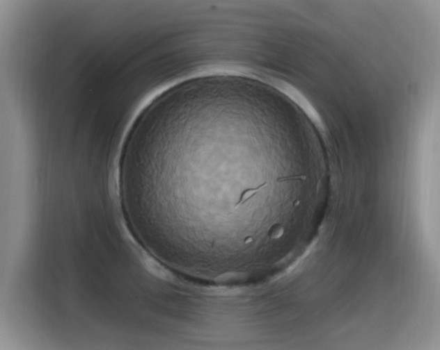 X0000115330996200911091241