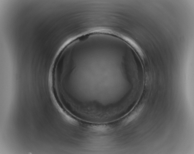 X0000115330999200911091241