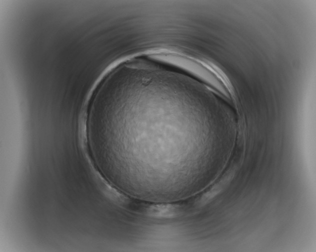 X0000115331000200911091241