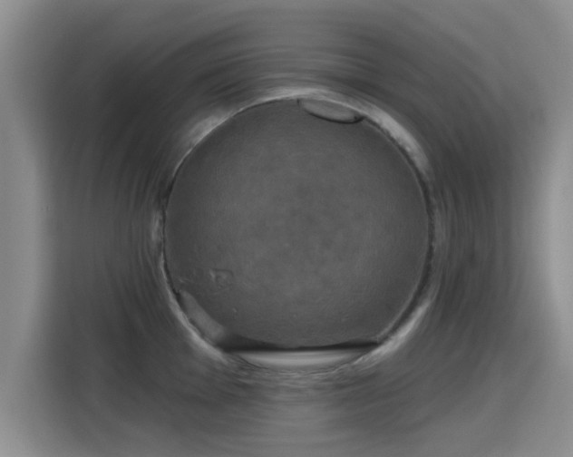 X0000115331001200911091241