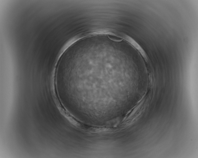 X0000115331002200911091241