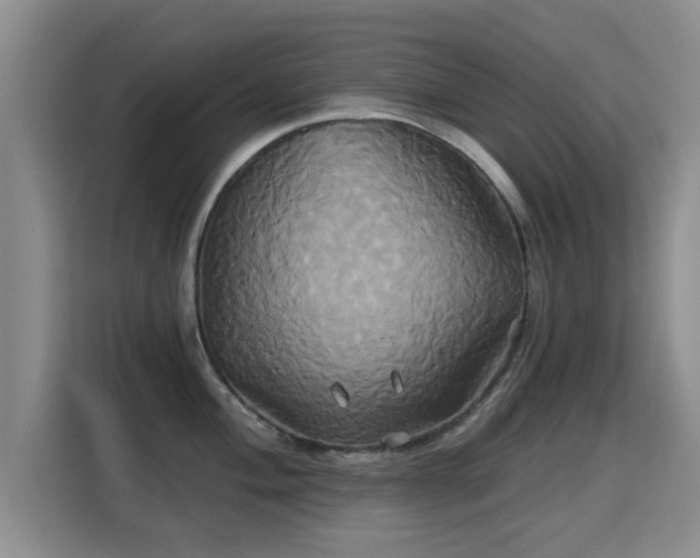 X0000115331004200911091241