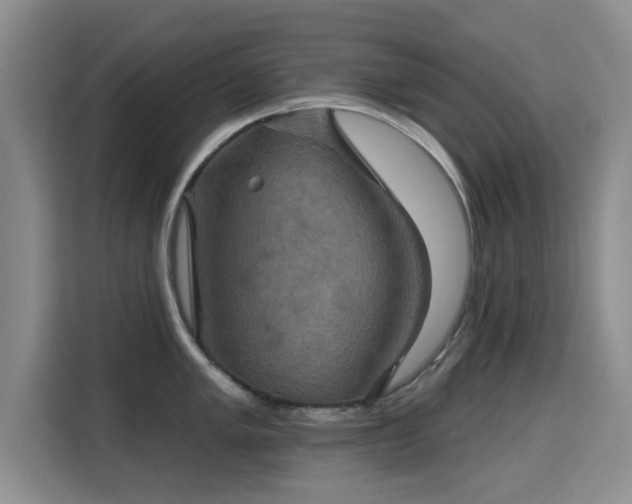 X0000115331005200911091241