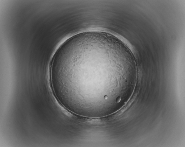 X0000115331006200911091241