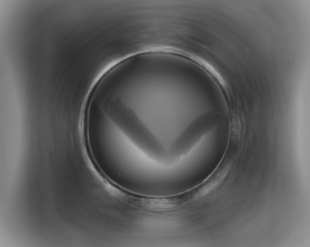 X0000115331007200911091241