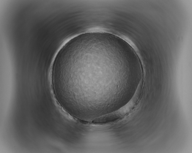 X0000115331008200911091241