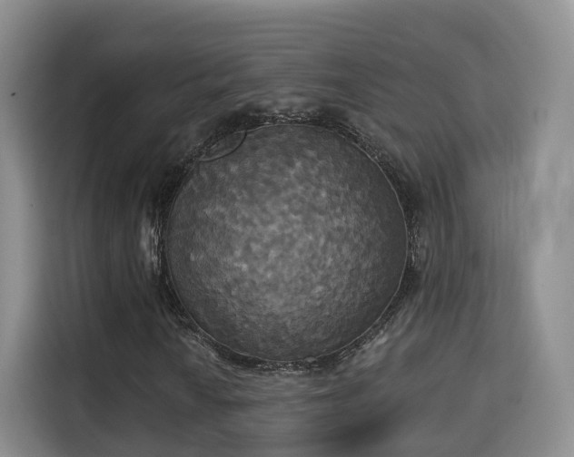 X0000115331010200911091240