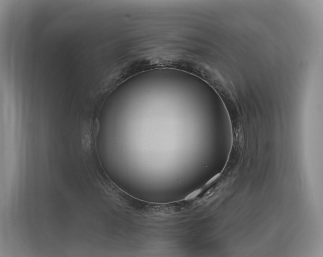 X0000115331012200911091241