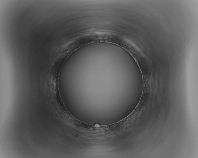 X0000115331013200911091241