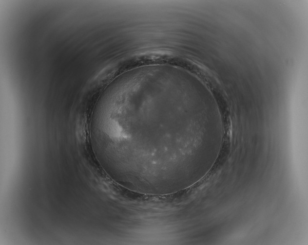 X0000115331014200911091241