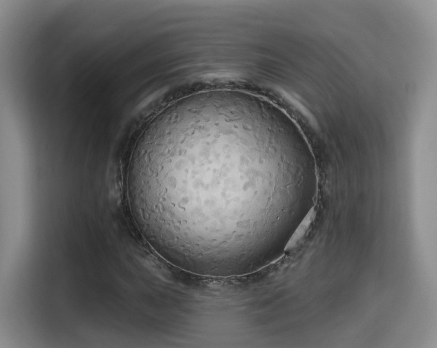 X0000115331015200911091241