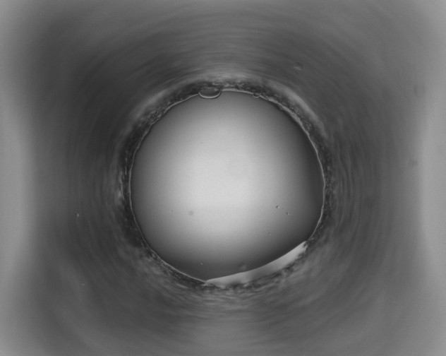 X0000115331016200911091241