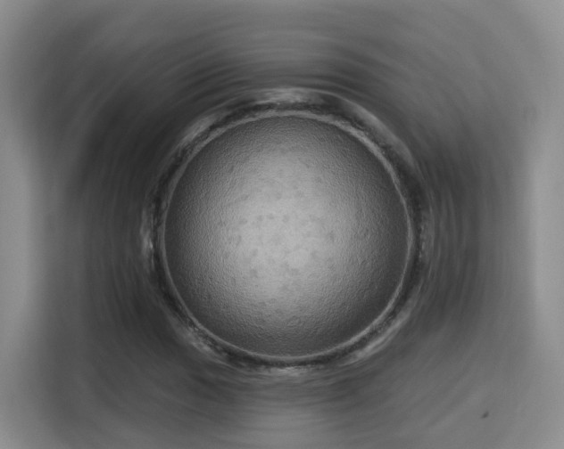 X0000115331017200911091241