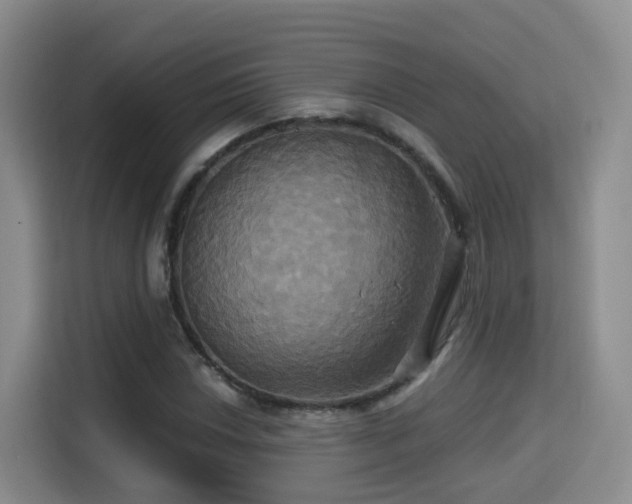 X0000115331018200911091241