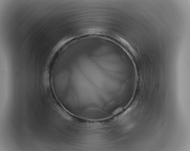 X0000115331019200911091241