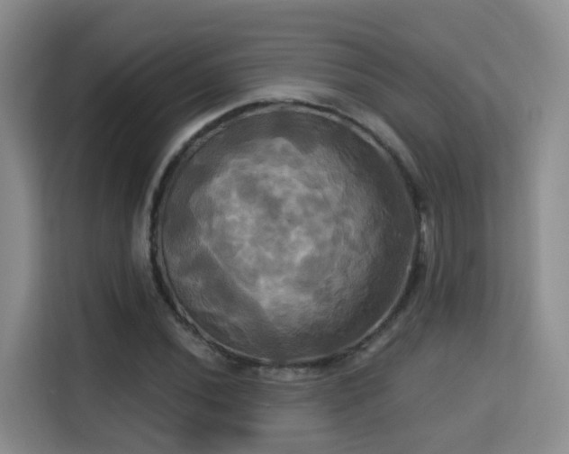 X0000115331020200911091241