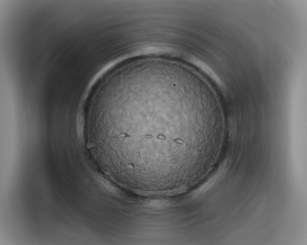 X0000115331021200911091241