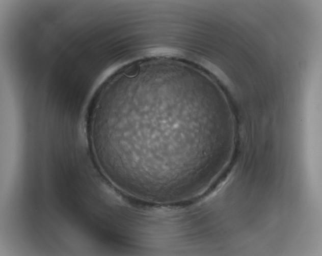 X0000115331022200911091241