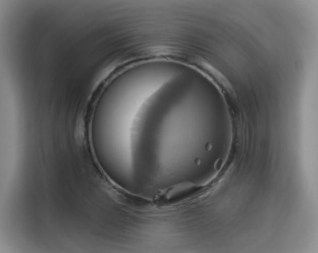 X0000115331023200911091241