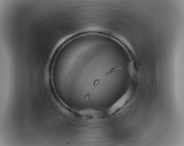 X0000115331024200911091241
