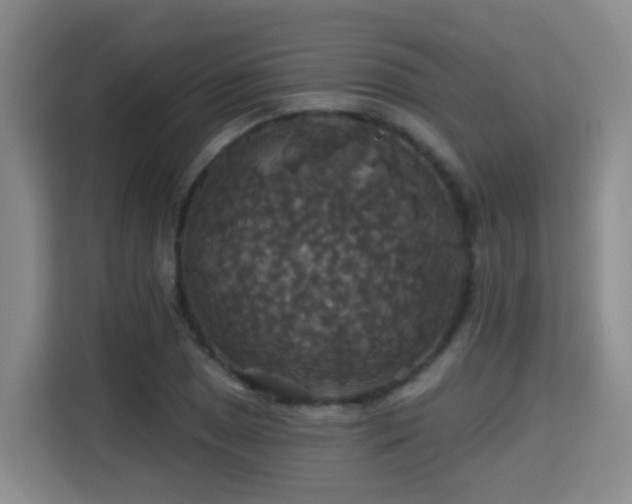 X0000115331025200911091241