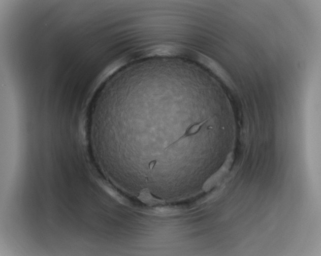 X0000115331026200911091241