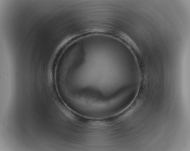 X0000115331027200911091241