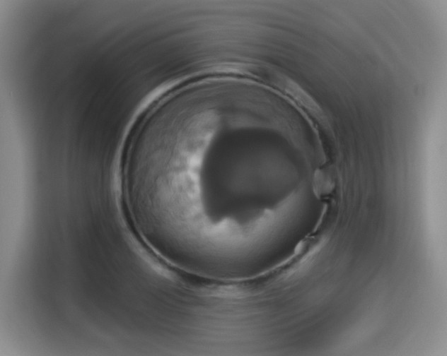 X0000115331028200911091241