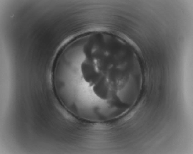 X0000115331029200911091241