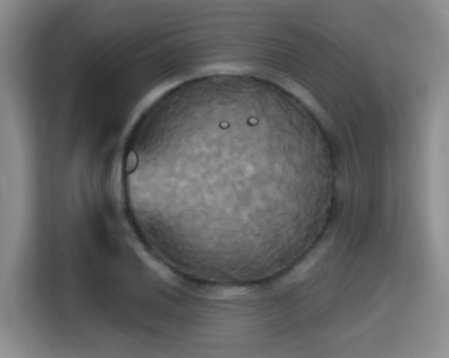 X0000115331030200911091241