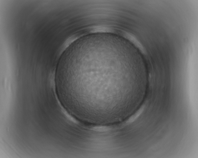 X0000115331033200911091241