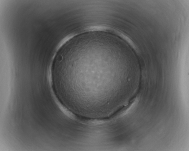 X0000115331034200911091241