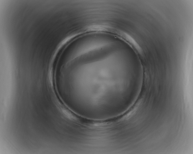 X0000115331035200911091241